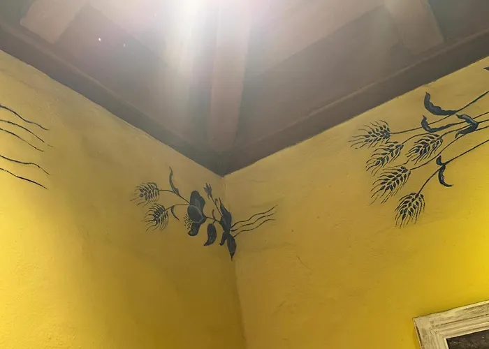 Oasis Hill Botanical Garden * إيكود ذي لوس فينوس