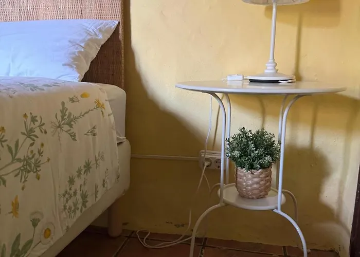 Oasis Hill Botanical Garden إيكود ذي لوس فينوس