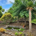 بيت خشبي Oasis Hill Botanical Garden إيكود ذي لوس فينوس