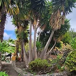 Oasis Hill Botanical Garden بيت خشبي إيكود ذي لوس فينوس