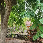 بيت خشبي Oasis Hill Botanical Garden إيكود ذي لوس فينوس