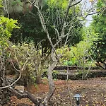 بيت خشبي Oasis Hill Botanical Garden *