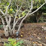 Oasis Hill Botanical Garden بيت خشبي إيكود ذي لوس فينوس