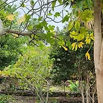 بيت خشبي Oasis Hill Botanical Garden