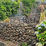 بيت خشبي Oasis Hill Botanical Garden *