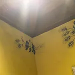Oasis Hill Botanical Garden * إيكود ذي لوس فينوس