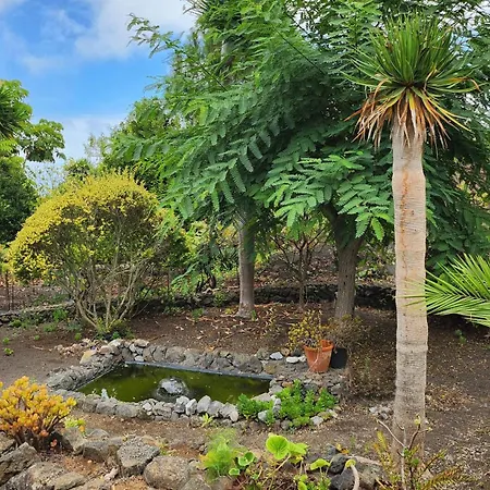 Jaktstuga Oasis Hill Botanical Garden Icod De Los Vinos