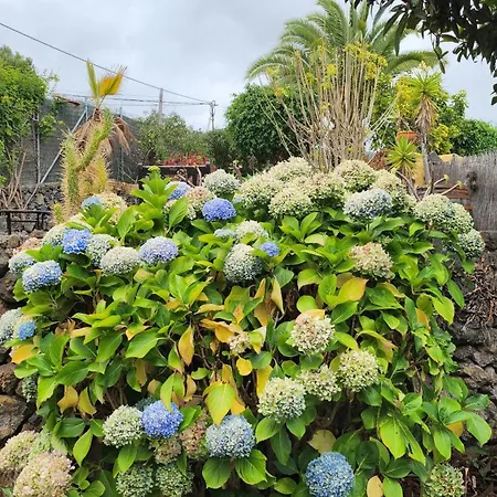 Oasis Hill Botanical Garden