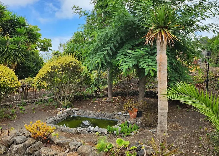 山林小屋 Oasis Hill Botanical Garden 伊科德·德·洛斯·维诺斯