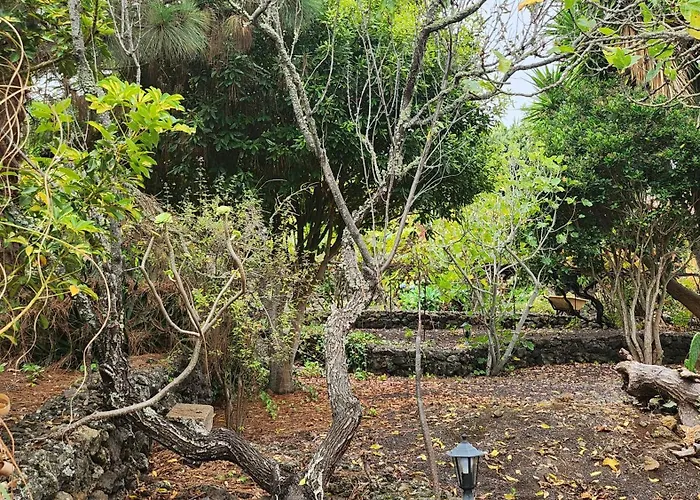 山林小屋 Oasis Hill Botanical Garden *