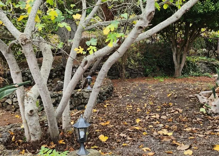 Oasis Hill Botanical Garden 山林小屋 伊科德·德·洛斯·维诺斯