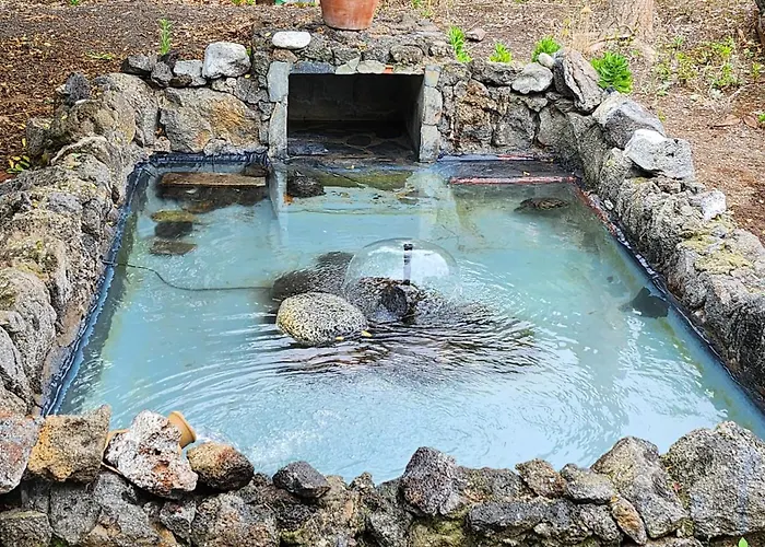 Oasis Hill Botanical Garden 山林小屋 *