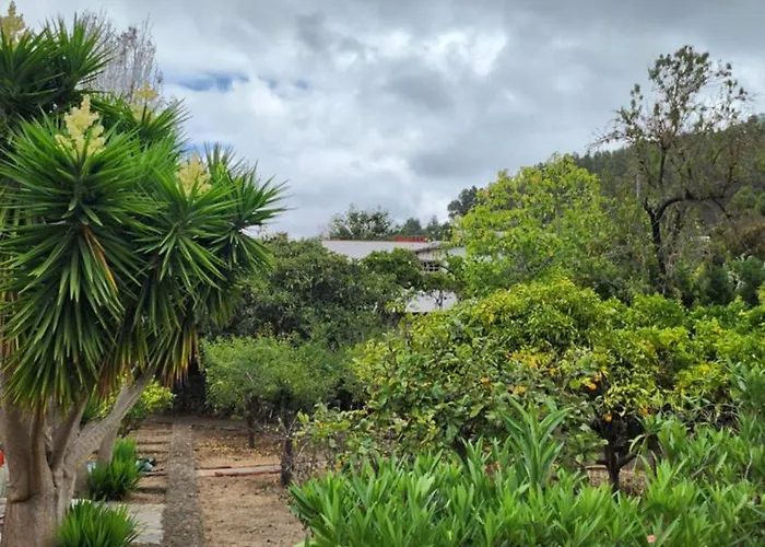 Oasis Hill Botanical Garden 伊科德·德·洛斯·维诺斯