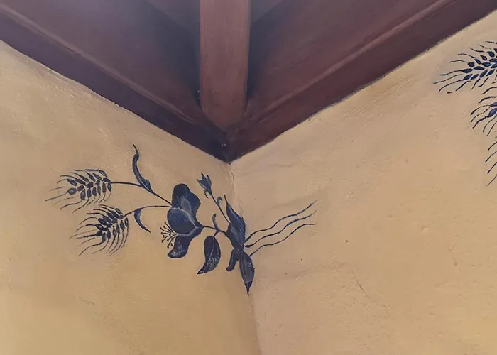 Oasis Hill Botanical Garden 山林小屋