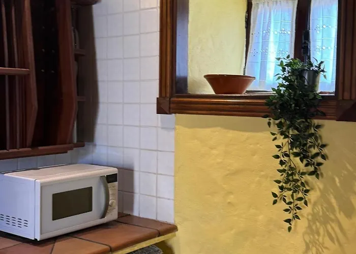 Oasis Hill Botanical Garden *